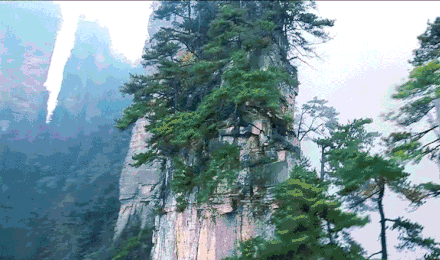 360°全景树堡!夏日应来此处望山而居,枕树而眠!