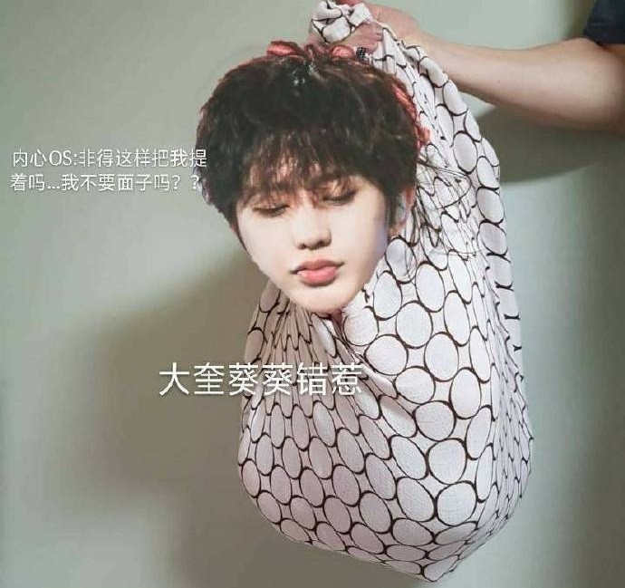 蔡徐坤搞笑表情包:满脸傲娇的葵葵,说你能拿他怎样!