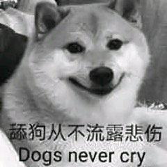 狗子表情包,让人忍俊不禁!