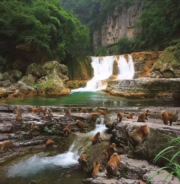 旅游景区,晋城,蟒河,山里泉,小三峡,泽州县,析城山,皇城相府,阳城县