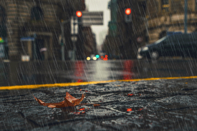健康生活|一场秋雨一场凉,来说说夏秋换季如何养生?
