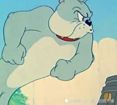 猫和老鼠 都有名字 那只狗叫什么 网友 太简单了 看点快报