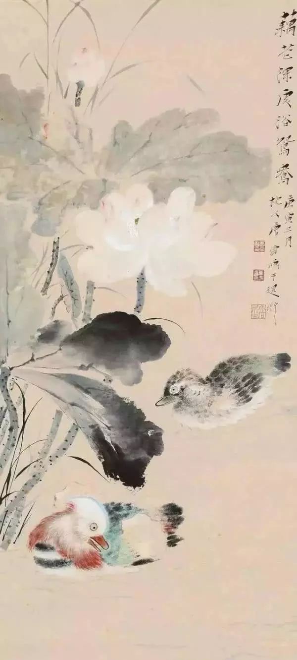 花鸟画,牡丹,陈师曾,谢稚柳,关山月,于非暗