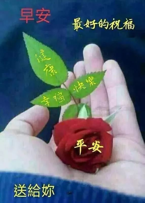 周三早上好问候语和关心句子 2019早上好图片表情大全
