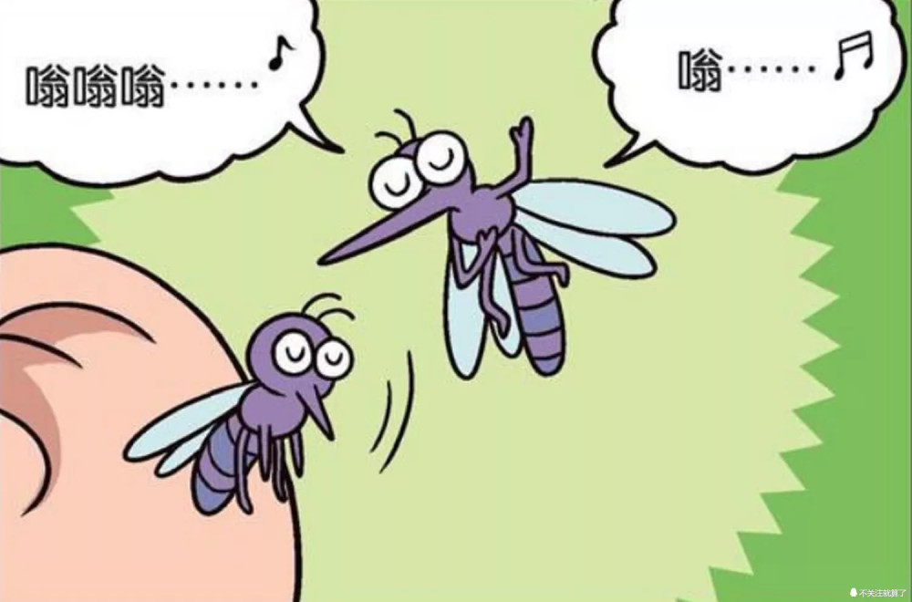 爆笑农场:蚊子也会睡不着觉?