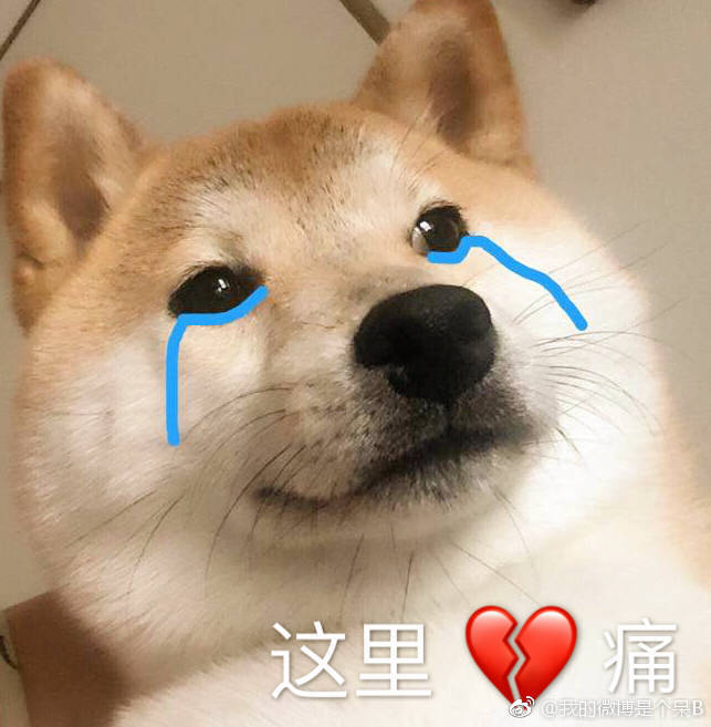 聊天表情包,听说最近流行小奶狗了!