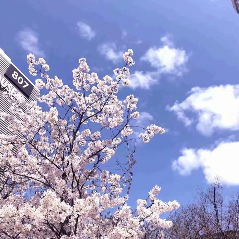 ins·超仙气·背景图:怎样去拥有一道彩虹,拥抱一夏天