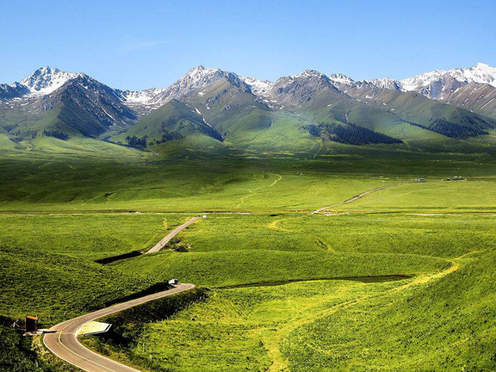 新疆那拉提大草原,广阔无垠的绿色,感受一番自由的感觉