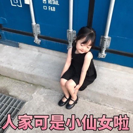 权律二可爱表情包,收藏一波