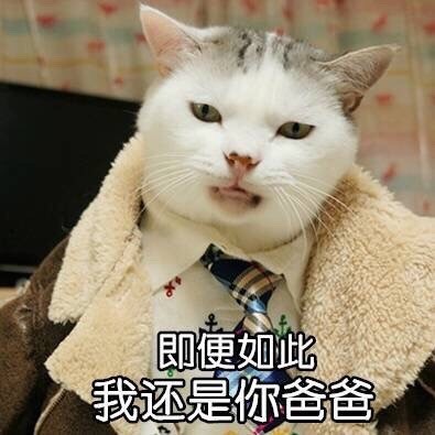 叫爸表情包,超级搞笑的几张图