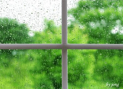 候一场秋雨,如约一位明眸善睐的姑娘,温婉可人,总有赏不尽的美丽.