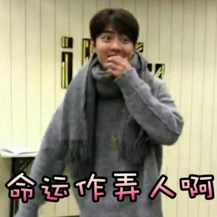 搞笑,表情包,明星,美图,肖战