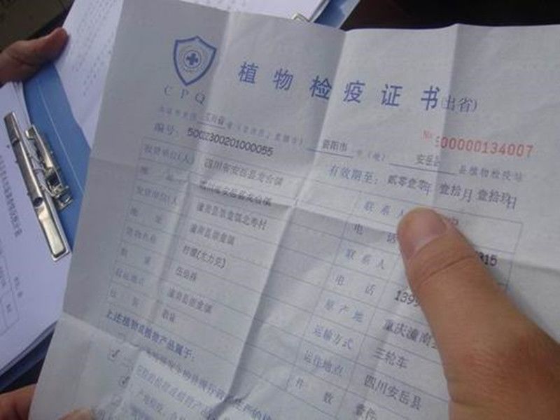 苗木"一签两证"知识集锦