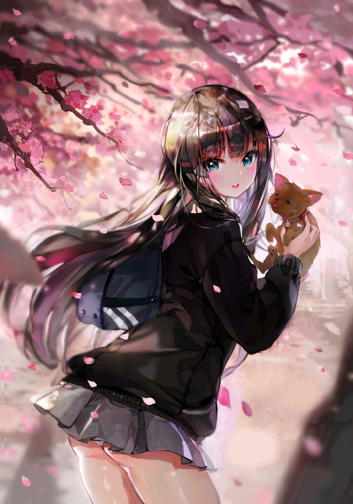 动漫图片,二次元樱花一样的少女