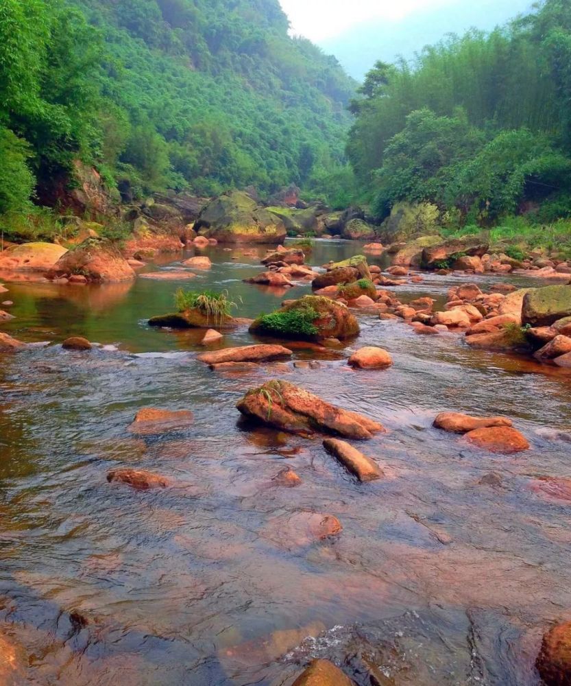 泸州,古蔺县,旅游景区,黄荆老林,自驾游