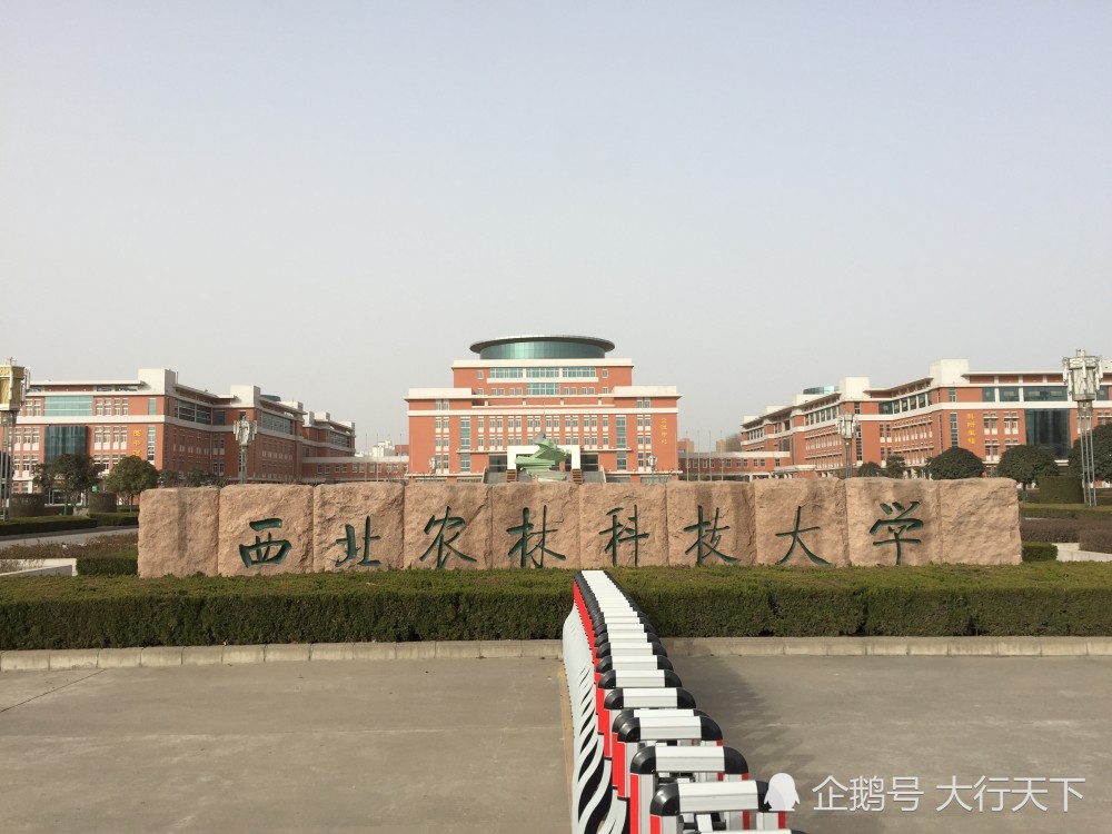 985工程,西北农林科技大学,高新技术产业,陕西,杨陵镇