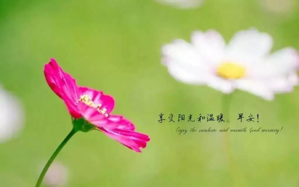 发微信朋友圈很走心的心情说说经典句子,穿透心灵的句子!