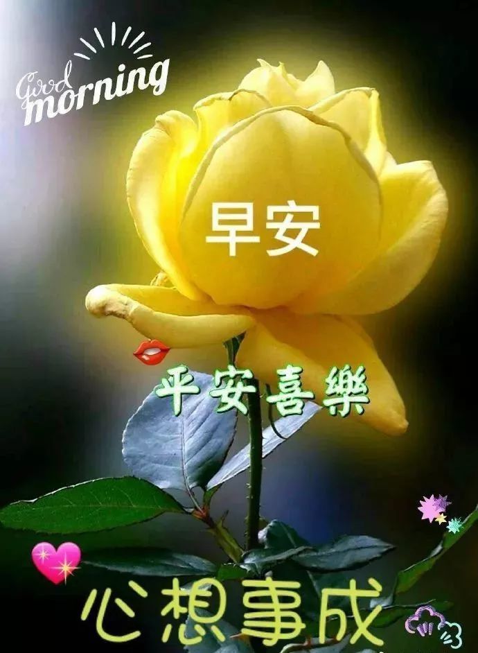 9月3日最新漂亮早上好表情动态图片带字,最美早安问候