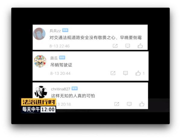 司机,金某某,开车,网友,进行