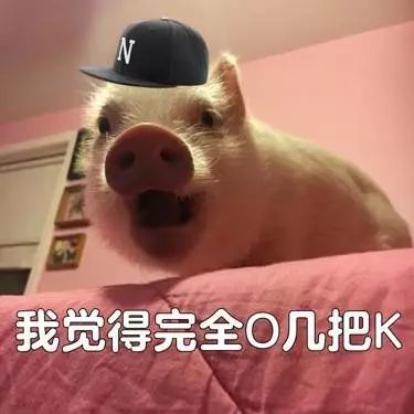 搞笑一组可爱的猪猪表情包,觉得自己笑起来好美