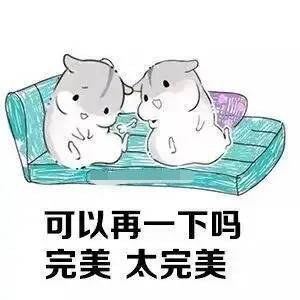 搞笑,表情包,囧图