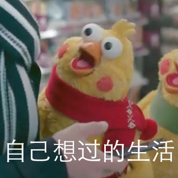 鹦鹉兄弟表情包:成年人一定要明白这个道理