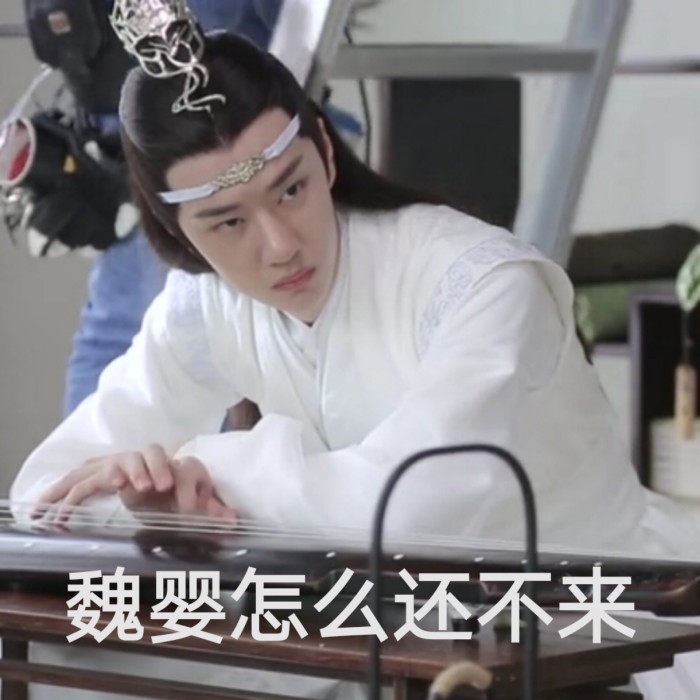 陈情令蓝湛表情包:有些人表面端方雅正,实际上是个表情包大户