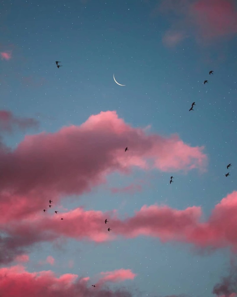 朦胧唯美背景图:今夜的月色很美,你也是