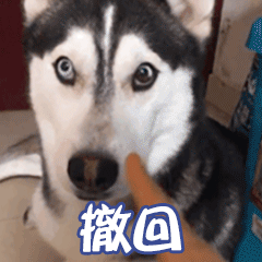 搞笑聊天斗图表情包撤回撤回也没用我看到了还要出去乱说