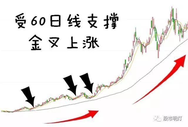 一篇百看不厌的股市文章:什么是海龟交易法则