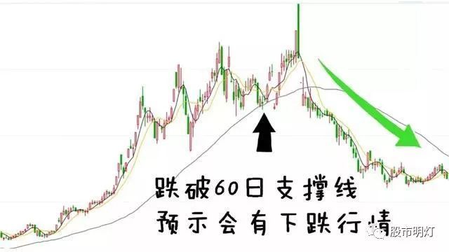 一篇百看不厌的股市文章:什么是海龟交易法则