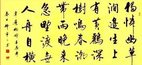 赏中书协美女韩宁宁精品书法,端庄严谨,精瘦风骨