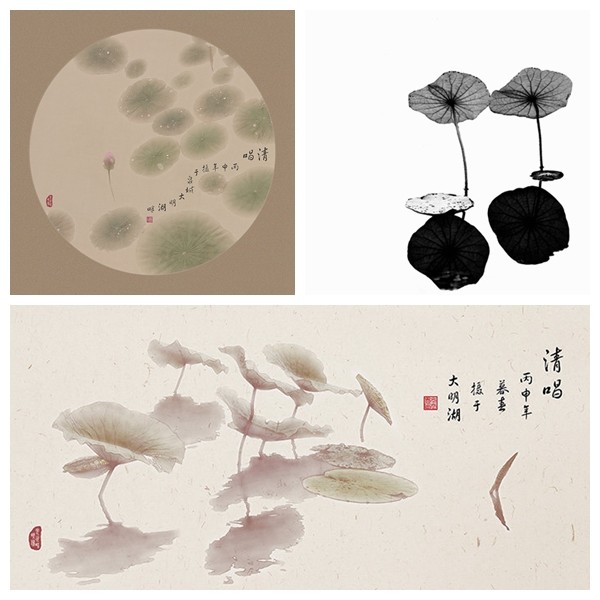 经常被忽视的荷花摄影技巧,一旦正确使用,作品不想获奖都难