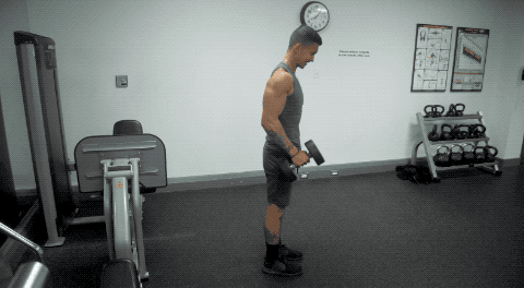 练肱二头肌的3个侧重点你知道吗,长头,短头,肱肌