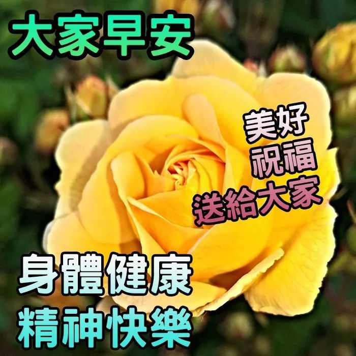每天早上必备的早安祝福问候语动态表情发朋友圈