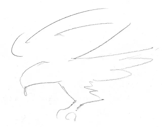 2.更加精确地描绘鹰的主要轮廓,包括鹰爪.