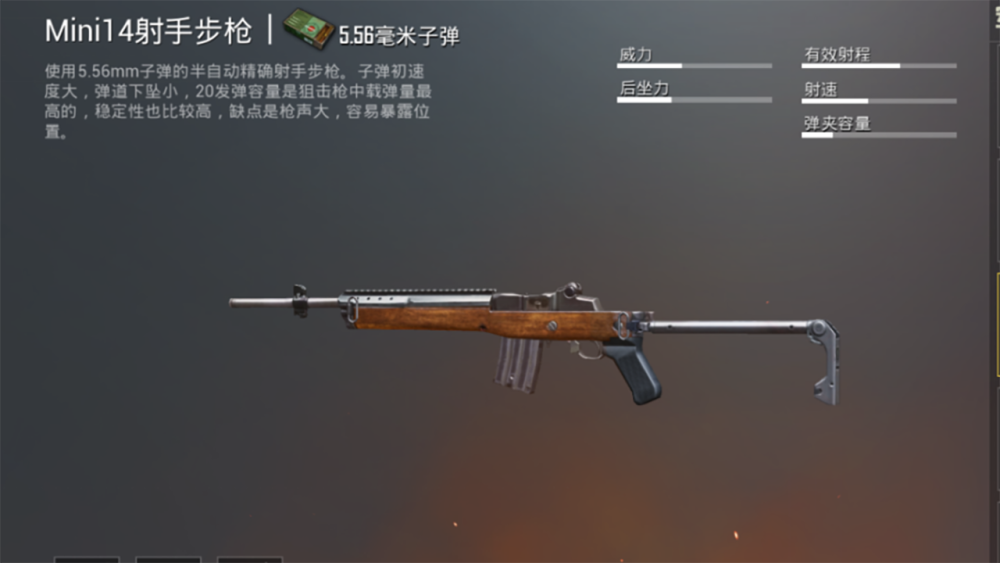 vss,维克托,游戏,和平精英,slr射手步枪