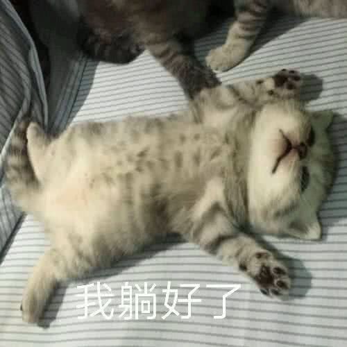 可爱猫咪搞笑表情包:我来偷看小哥哥!