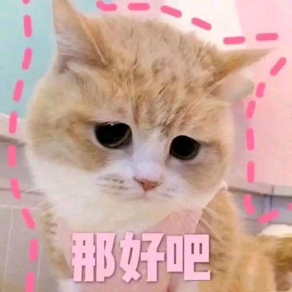 可爱猫咪搞笑表情包:我来偷看小哥哥!
