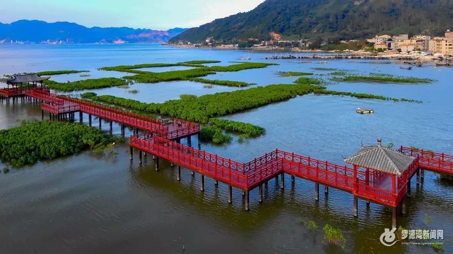 去吕洞村摘一篮草莓"红" 去拥抱罗源湾海洋世界无尽的"蓝" 再去上杭村