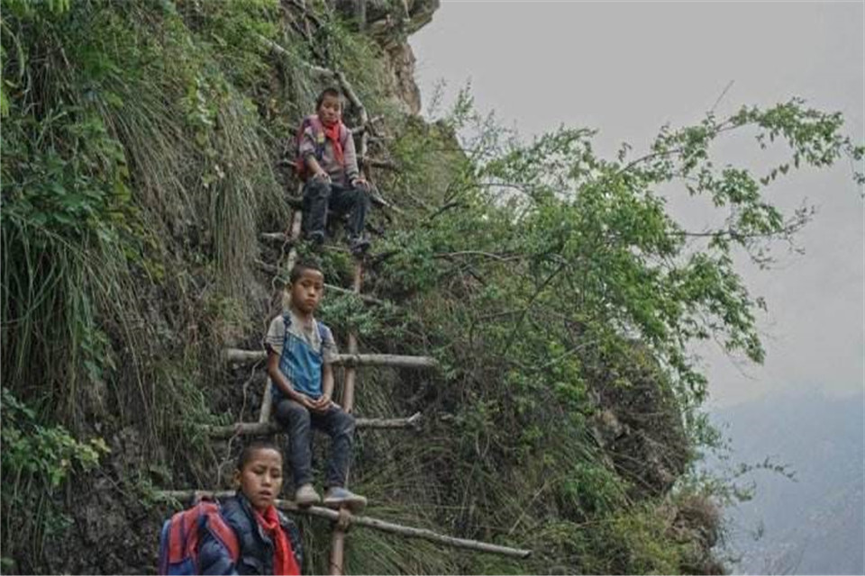 悬崖村离地270层楼高,藤梯换钢梯,当地小伙不搬能找到