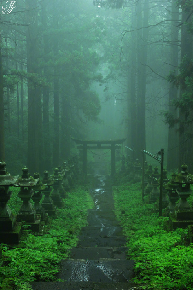 夏目友人帐和萤火之森的神社原型,雾雨后太美了!