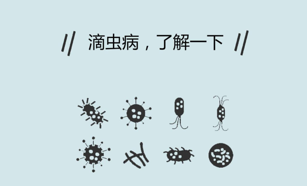 滴虫病:为何屡治屡发