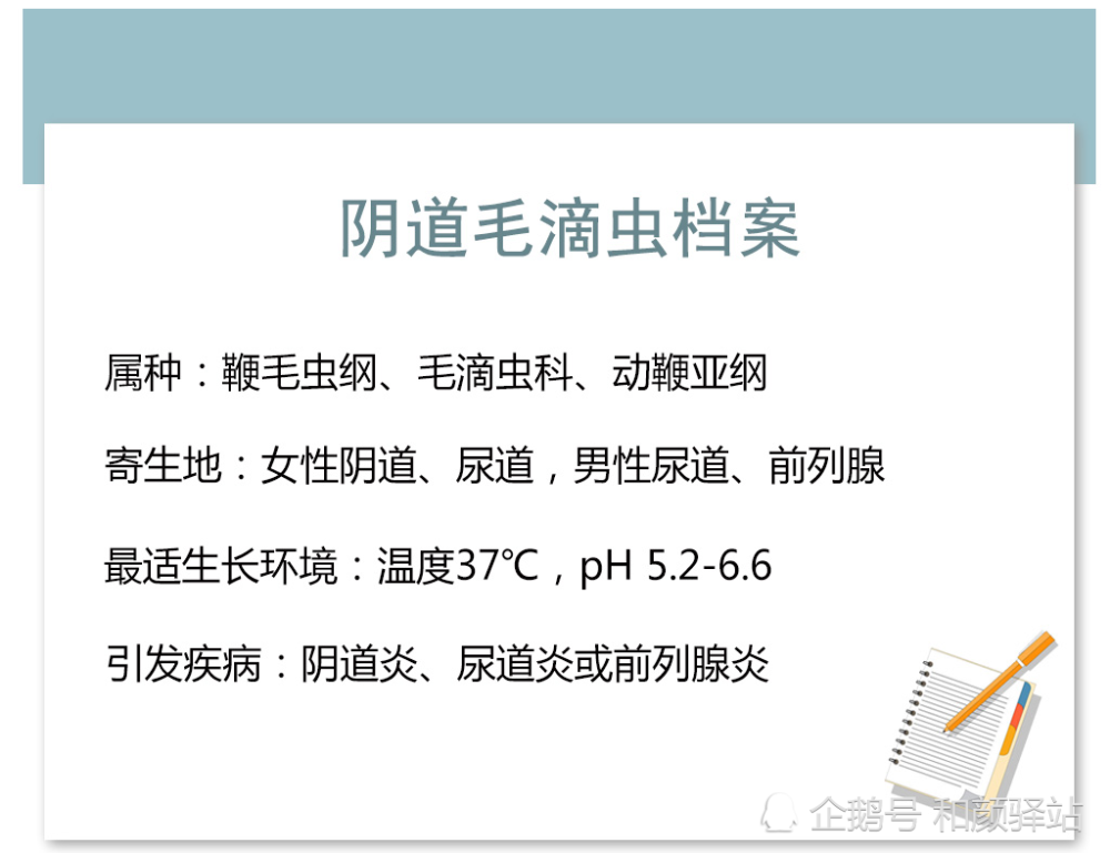 滴虫病:为何屡治屡发