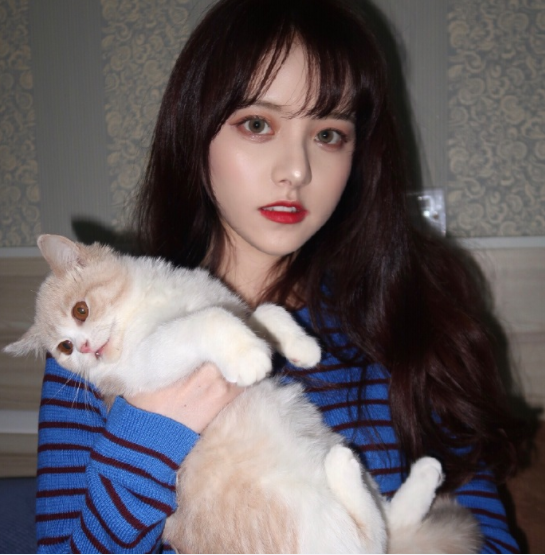 情感,猫系少女,女生头像,娱乐,00后