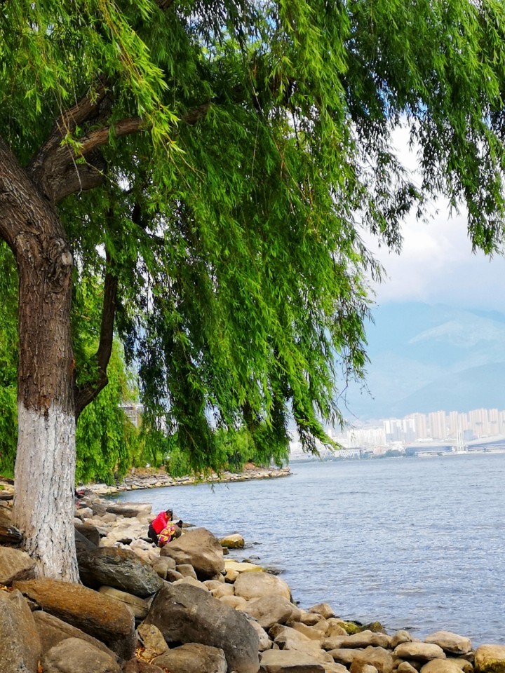 洱海风光,喜欢这一派风轻云淡,气候宜人