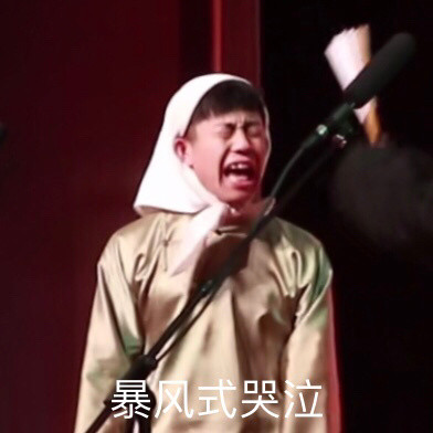 搞笑,表情包,囧图
