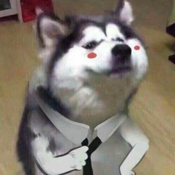 搞笑狗子表情包,拿走不谢