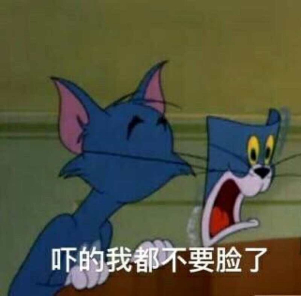 娱乐,搞笑,表情包,猫和老鼠,汤姆