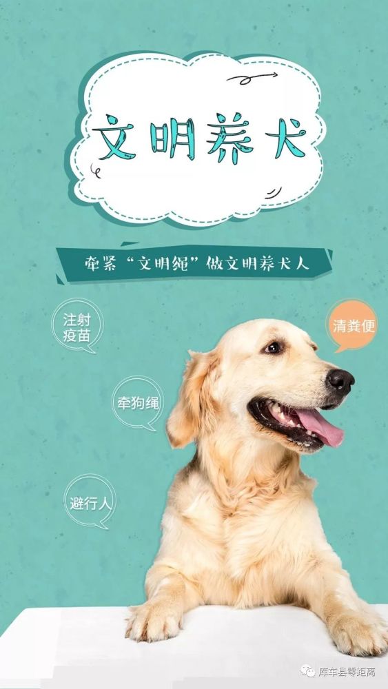 做文明养犬人,共创文明城市